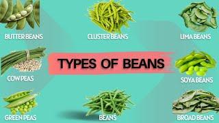 Vegetables Names | Types of Beans | Broad Beans, Butter, Soya, Lima, Cluster Beans, Cow & Green Peas