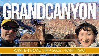 Winter GRAND CANYON Road Trip Adventure!  Is February the Best Time to Visit?