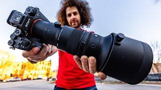 Sigma 500mm f5.6 REVIEW: The BEST “Budget” Prime Lens for Wildlife & Sports? (vs Sony 200-600)