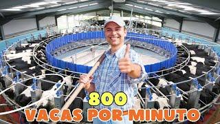 SALA DE ORDEÑO ROTATIVA ¿Cómo logran los granjeros estadounidenses ordeñar MILLONES de VACAS al dia?