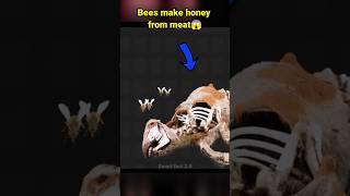 How to make vulture bee honey#viralfacts