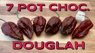 7 Pot Choc. Douglah review THEN CHALLENGE! Pods by SouthShort Heat Works and Andrew Brown! Boom!