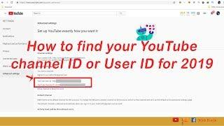 How to find your YouTube channel ID or User ID for 2019