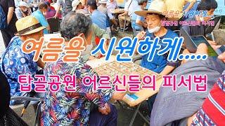 여름을 시원하게 탑골공원 어르신들의 피서법