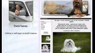 Как научится зарабатывать в интернете!