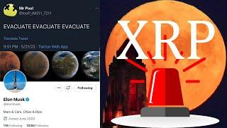 Ripple XRP IMMINENT EMERGENCY ALERT 3...2...1 UH OH!!!