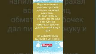 Юмор #позитив #прикол #мемы #анекдоты #смешно #смех #смешныевидео #юмор #тикток