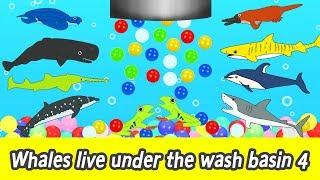 [EN] Whales live under the wash basin 4, kids animals animation, whales adventureㅣCoCosToy