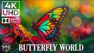 Butterfly World 4K - Peaceful With Nature Relaxation Film & Healing Music • 4K Video UHD