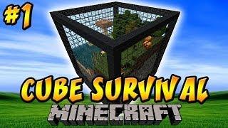 CUBE ISLANDS [Ep.1]  Minecraft Survival