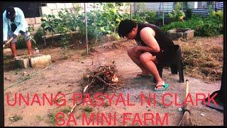 BEAUTIFUL LIFE: FIRST TIME NA MAKITA NI CLARK ANG MINI FARM: LovelaceVLOG