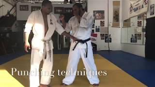 Shidokan Karate Punching The Body