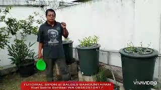 Tutorial Teknik SIPON BUDIKDAMBER di Balai Desa Banguntapan.. Ruri Satria Berdasi