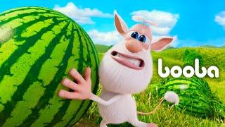 Booba Watermelon  CGI animated shorts  Super ToonsTV