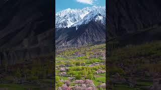 Пакистан. Pakistan.Пакистанская хайтарма. #путешествие #пакистан #travel #beautiful #pakistan