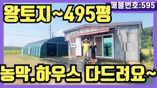 NO(595)왕토지~495평.1억9천5백.농막.하우스 다드려요~접근성 좋고 주말엔 요기서 5도2촌(강화도전원주택,강화도부동산,강화도토지,강화도부모님주택,강화도세컨하우스)