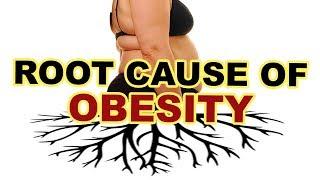 Insulin Resistance Explained | Eradicate the root cause of obesity and diabetes!