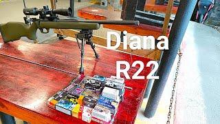 Diana R22 22LR Bolt Action Rifle Overview and 100 Yard Shooting Results.
