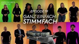 ... nie zu fragen wagten: Episode 19 - Das Stimmfach