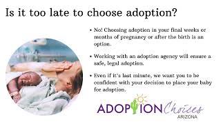 Last Minute Adoption Options in Arizona