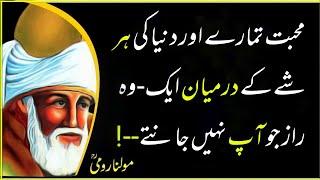 maulana rumi quotes in urdu rumi quotes whatsapp status | maulana rumi poetry