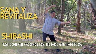 Tai Chi Qi Gong de 18 Movimientos - Shr Ba Shr (SHIBASHI) - FACIL Y EFECTIVO