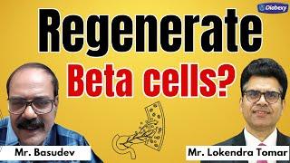 How to Regenerate Beta Cells in Pancreas | Diabexy