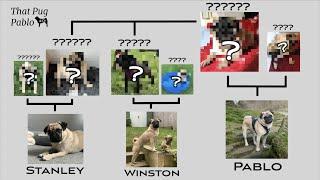 That Pug Pablo Family Tree!  |  How All Our Boys Are Related