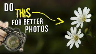 Essential techniques to make BETTER close-up photographs