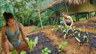 gardening, growing vegetables on a rainy day - wild life beauty