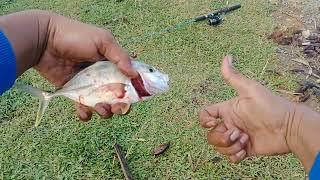 TRICK dan TIPS Cara Mancing ikan GT / trakulu dispot muara / dilengkapi dengan animasi mancing