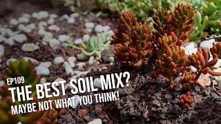 #109 Are you sure you are using the best succulent soil mix?