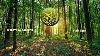 Sourate Al Baqarah (sans publicité - بدون إعلانات) Maher Al Muaeqly - Al islem - الاسلام YT