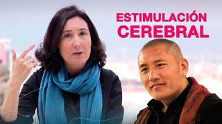 Estimular el cerebro para sentirnos bien - Lama Tulku Lobsang | ELSA PUNSET