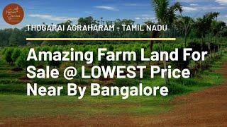 Beautiful Self Managed Farm Land  For Sale Near Bangalore @ LOWEST Price | #naturesenses