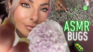 ASMR Bugs In A Blanket?! Help Me Look!  Video That Went Viral On TikTok