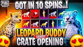 Hola Buddy Spin New Crate opening | Got companion 8 times