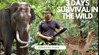 Survive 3 Days in the Wild | and Meet Wild Animals(Part 1)