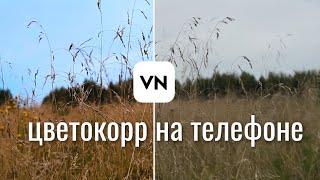 Киношная ЦВЕТОКОРРЕКЦИЯ видео на телефоне. Как улучшить твое ВИДЕО за несколько кликов.