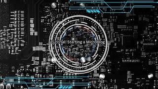 Tutorial: Starting a Microblog