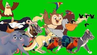 cartoon animal stampede green screen compilation