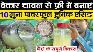 बेकार चावल से फ्री में बनाएं हुमिक एसिड | Humic Acid Fertilizer | Homemade Fertilizer For Plants