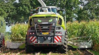 Mais Silage 2023 | Claas Jaguar 950 + Fendt | Schimmel