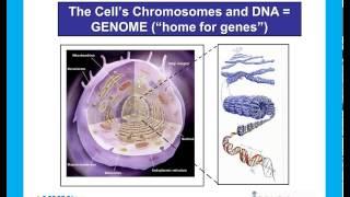 Expert Angle: The Personal Genetics of Prostate Cancer with Dr  Rob Bristow