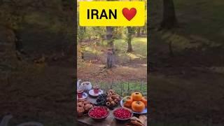 Beautiful Places to Visit in Iran ️