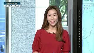 [실전 상담 '고고'] 용산구 한남동 시범아파트 · 한성아파트, 보유 전략은? - 김현아