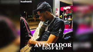 [FREE] Pooh Shiesty x Big30 Loop Kit - "Aventador" (Young Dolph, Moneybagg Yo, BigWalkDog)