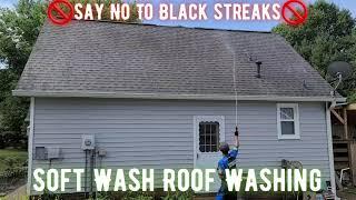 Soft Wash Roof Washing Before and After