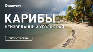 Карибы | Неизведанные острова | Discovery Channel