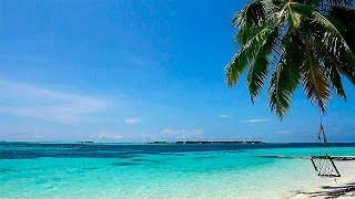 Relaxar! Suave Som das Ondas e Praia Paradisíaca